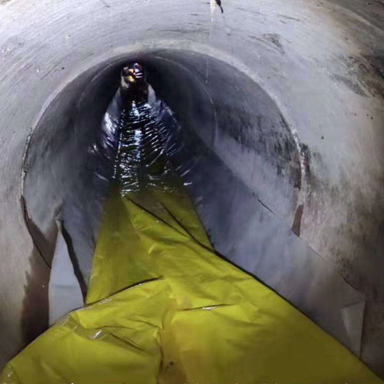 岱岳管道光固化修复